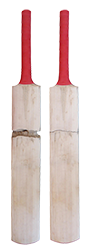 What is Storm Damage in cricket bats