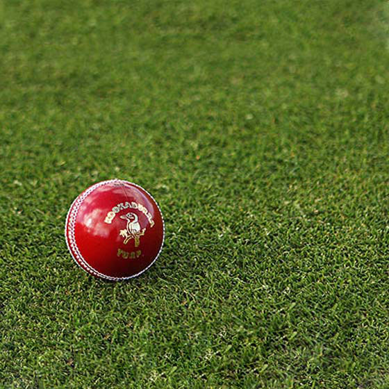 Cricket Ball on grass